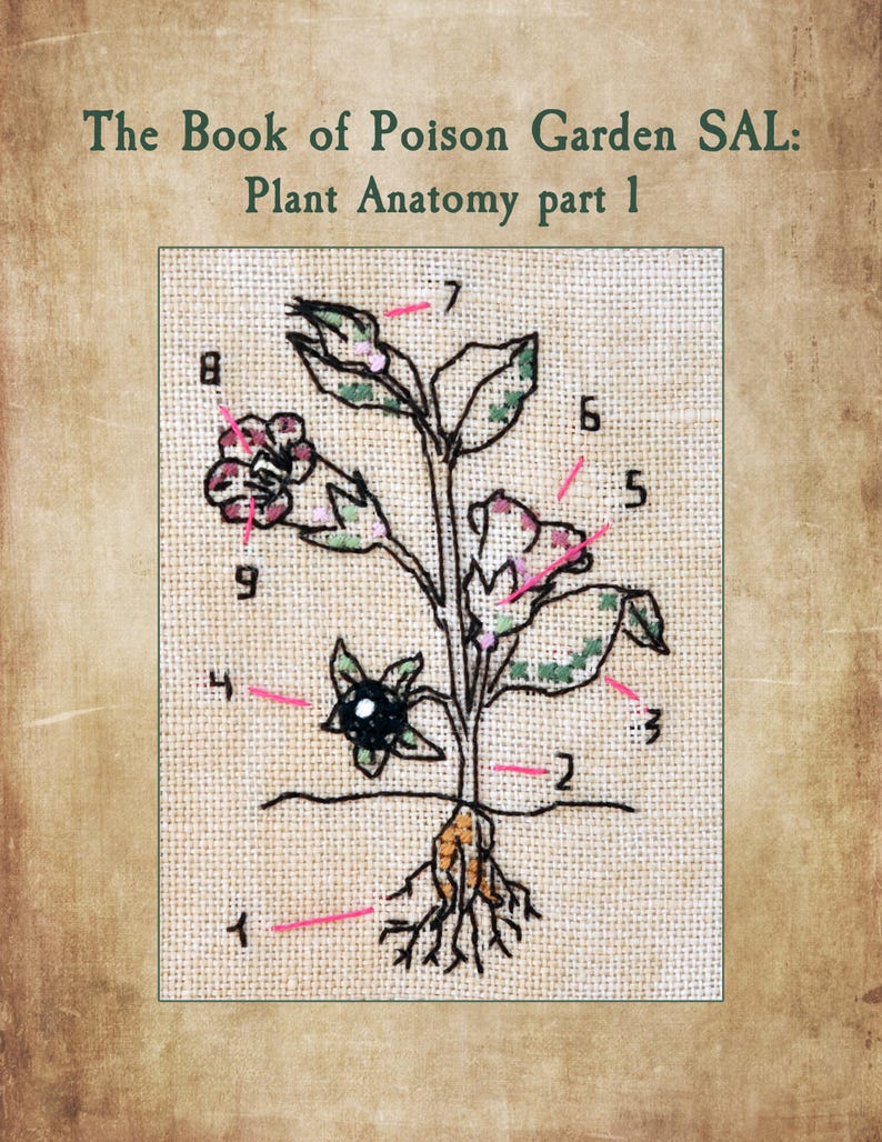 Poison Garden Book kruissteekpatroon, Halloween SAL Stich-A-Long (pdf-patroon) afbeelding 5