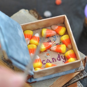 Pu&ograve; includere: Una piccola scatola di legno con un rivestimento in tessuto blu &egrave; piena di mais dolce arancione e giallo. La scatola &egrave; appoggiata su una pila di vecchi libri. Il testo "Candy" &egrave; ricamato sulla scatola.