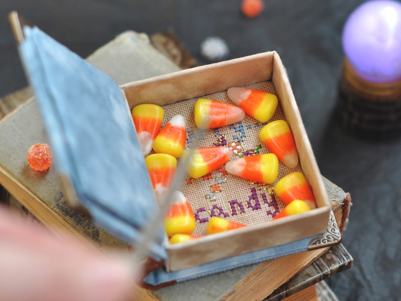 Pu&ograve; includere: Una piccola scatola di legno con un rivestimento in tessuto blu &egrave; piena di mais dolce arancione e giallo. La scatola &egrave; appoggiata su una pila di vecchi libri. Il testo "Candy" &egrave; ricamato sulla scatola.