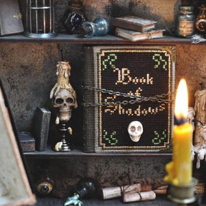May include: A shelf display featuring a skull candle, a book titled "Book of Shadows", and various potion bottles. The book is secured with a chain and has a skull emblem. Other items include small books and a birdcage.