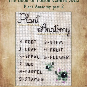 Poison Garden Book kruissteekpatroon, Halloween SAL Stich-A-Long (pdf-patroon) afbeelding 6