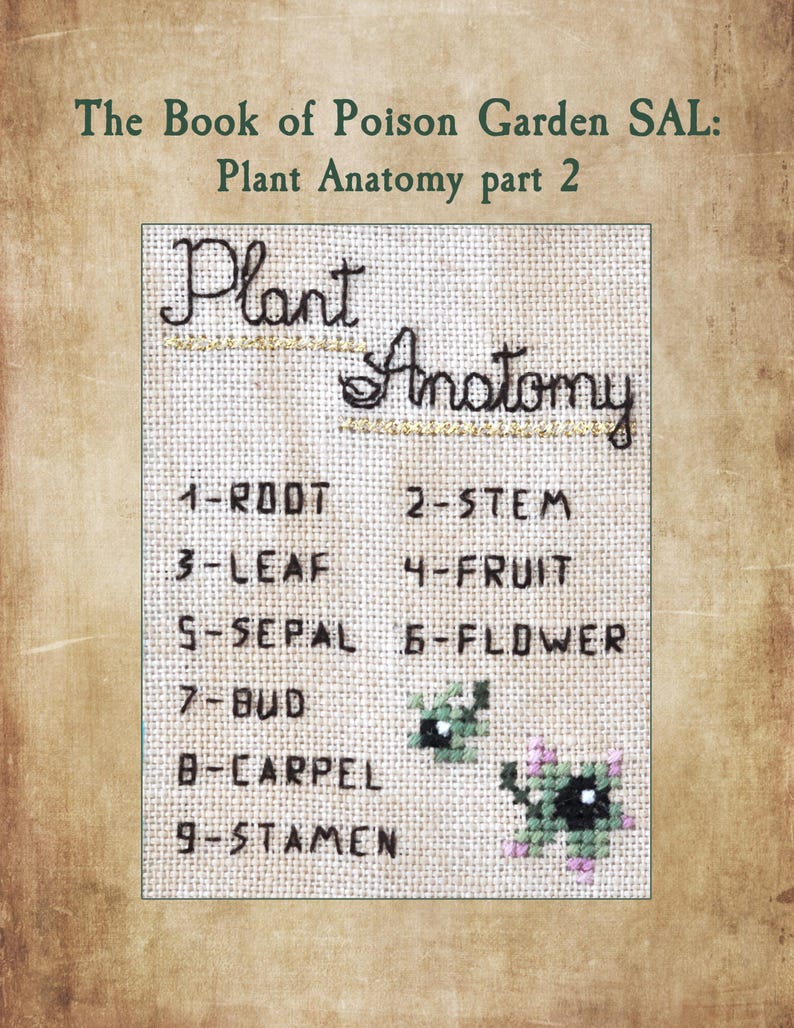 Poison Garden Book kruissteekpatroon, Halloween SAL Stich-A-Long (pdf-patroon) afbeelding 6