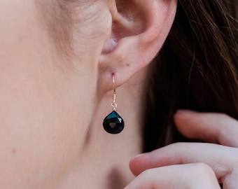 May include: A pair of gold-filled earrings with black teardrop-shaped gemstones. 14K Gold Fill.