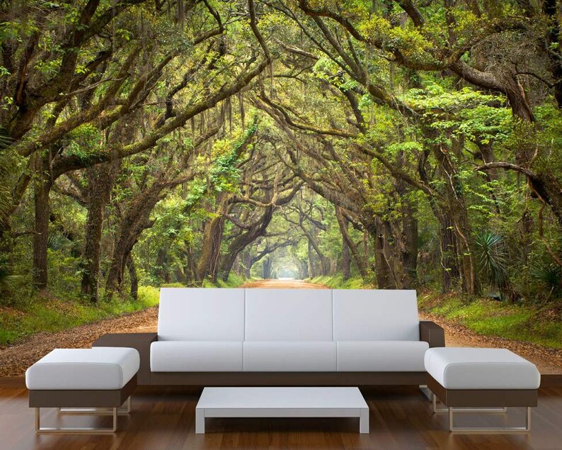 Mural Wall Art Photo Decor Trees Tunnel Large Startonight Etsy