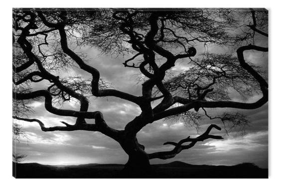 Startonight Canvas Wall Art Black And White Abstract Forest Etsy