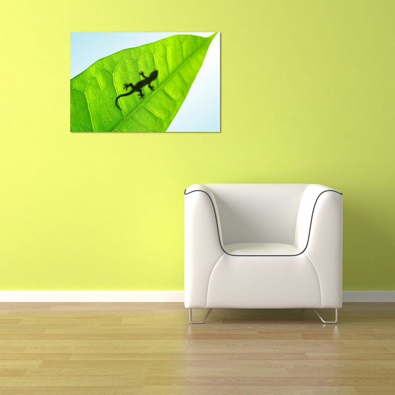 Glass Wall Art Acrylic Decor Shadow and Green Leaf 5 Stars | Etsy