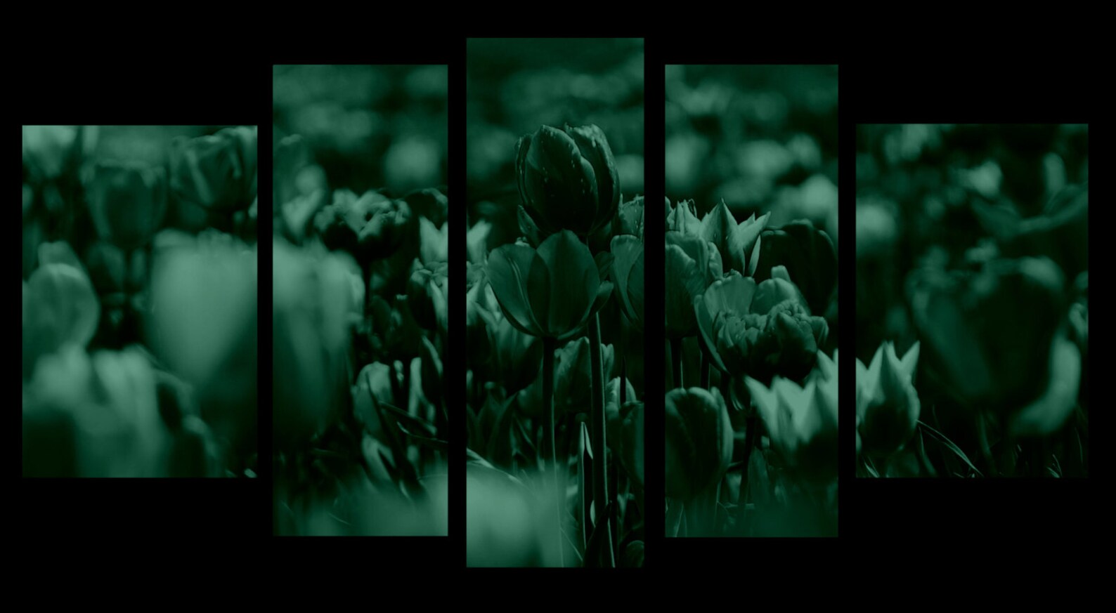 Glass Wall Art Acrylic Decor Set Colored Tulips 5 Stars Gift Etsy