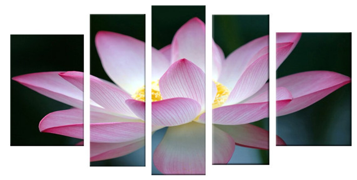 Glass Wall Art Acrylic Decor Set Pink Flower 5 Stars Gift and Etsy