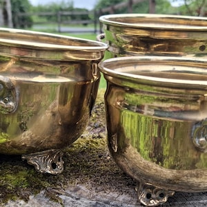 Puede incluir: Tres jardineras antiguas de latón con asas ornamentadas y patas decorativas. Las jardineras tienen forma redondeada y un acabado pulido, que refleja la vegetación circundante. Contenedores vintage para uso en interiores o exteriores.