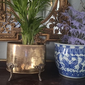 Fioriera ovale in ottone anticato con testa di capra decorata e zoccoli