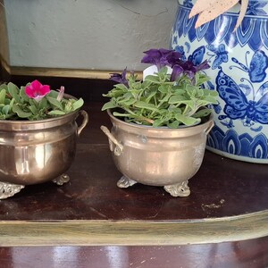Pode incluir: Duas pequenas floreiras de latão antigo com folhagem verde e flores rosa e roxas. As floreiras têm pés e alças ornamentadas. Ao fundo, um grande vaso de cerâmica azul e branco com padrão de borboletas.