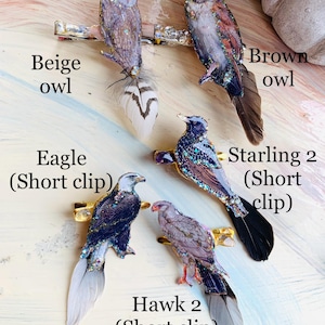 May include: Four hair clips featuring bird designs: a beige owl, a brown owl, an eagle, and a hawk. Each clip includes a detailed bird illustration with glitter accents and a real feather tail. The eagle, starling 2, and hawk are short clips.