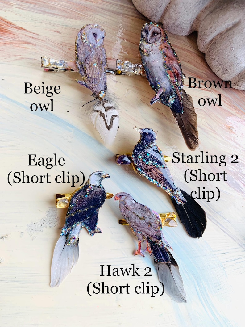May include: Four hair clips featuring bird designs: a beige owl, a brown owl, an eagle, and a hawk. Each clip includes a detailed bird illustration with glitter accents and a real feather tail. The eagle, starling 2, and hawk are short clips.