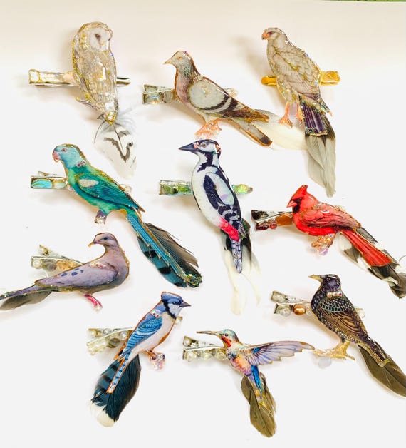 Bird Hair Clip Cardinal Blue Jay Owl Starling Woodpecker Hair Accessories
