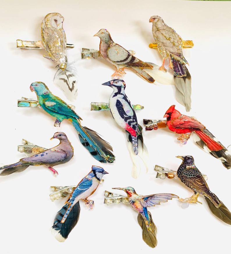 May include: A collection of ten bird-shaped hair clips, each featuring detailed illustrations of various species including an owl, cardinal, blue jay, and hummingbird. The clips incorporate real feathers, metallic accents, and small beads.