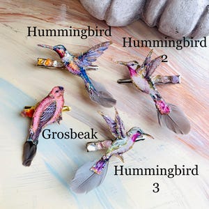 May include: Four hair clips featuring bird designs with attached feathers. Three clips are labeled Hummingbird, Hummingbird 2, and Hummingbird 3, depicting colorful birds with glitter accents. One clip is labeled Grosbeak, showing a pink bird.