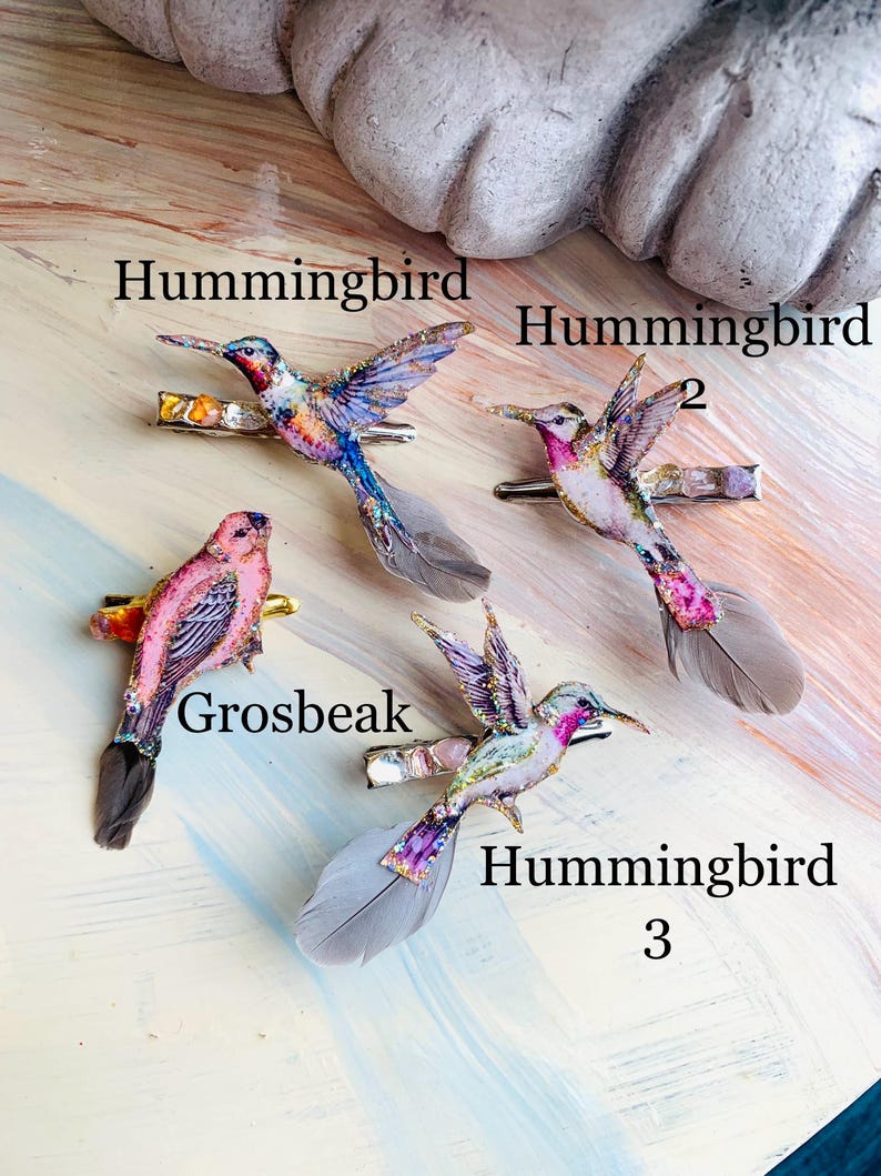 May include: Four hair clips featuring bird designs with attached feathers. Three clips are labeled Hummingbird, Hummingbird 2, and Hummingbird 3, depicting colorful birds with glitter accents. One clip is labeled Grosbeak, showing a pink bird.