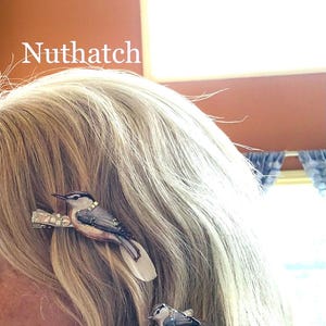 May include: Two hair clips featuring detailed Nuthatch bird figures with blue, white, and brown plumage. Each bird is attached to a metallic clip base with small, clear, reflective accents. The word Nuthatch is printed in white text on the left.