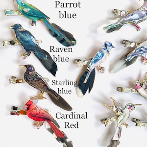 May include: A collection of bird-shaped hair clips featuring a blue parrot, blue raven, blue starling, and red cardinal, each accented with feathers, beads, and metallic details. The text labels Parrot blue, Raven blue, Starling blue, and Cardinal Red appear.