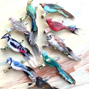 May include: A collection of eight bird-shaped hair clips featuring various species including a cardinal, blue jay, and owl. Each clip is adorned with iridescent glitter accents and real feathers attached to the tail, mounted on a small branch-like base.
