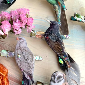 May include: A collection of hair clips featuring detailed bird illustrations, including a starling, a hawk, and an owl. Each clip is adorned with iridescent, multi-colored resin stones and natural feathers, creating a layered, textured appearance.