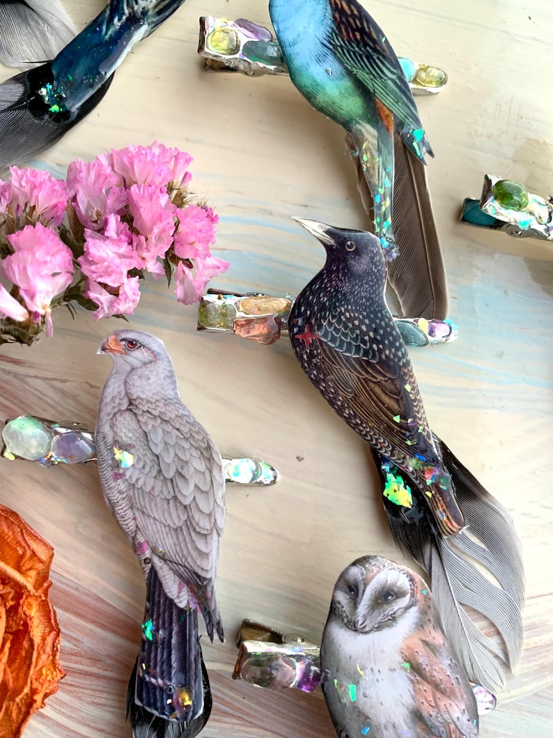 May include: A collection of hair clips featuring detailed bird illustrations, including a starling, a hawk, and an owl. Each clip is adorned with iridescent, multi-colored resin stones and natural feathers, creating a layered, textured appearance.
