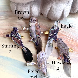May include: Five bird-shaped hair clips featuring a starling, brown owl, eagle, beige owl, and hawk. Each clip is adorned with glitter and real feathers, with the bird names printed next to each corresponding piece on a light, marbled surface.