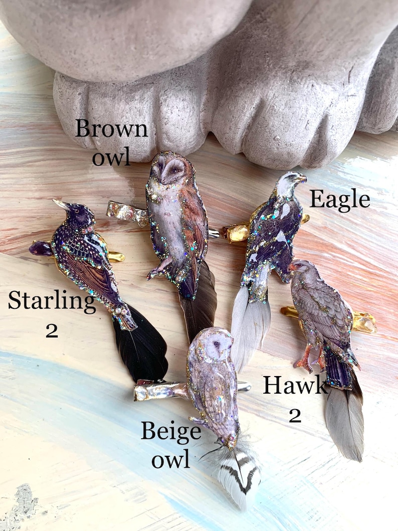 May include: Five bird-shaped hair clips featuring a starling, brown owl, eagle, beige owl, and hawk. Each clip is adorned with glitter and real feathers, with the bird names printed next to each corresponding piece on a light, marbled surface.