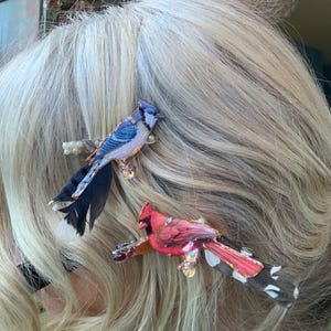 May include: Two hair clips featuring bird designs. The top clip is a blue jay with blue, white, and black feathers and iridescent accents. The bottom clip is a red cardinal with red, black, and white feathers and small sparkling crystal embellishments.