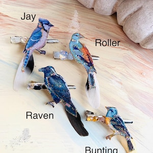 Bird Hair Clip Cardinal Blue Jay Owl Starling Woodpecker Hair Accessories image 10