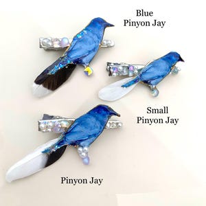 May include: Three hair clips featuring bird designs labeled Blue Pinyon Jay, Small Pinyon Jay, and Pinyon Jay. Each clip displays a blue bird figure adorned with white pearls, iridescent beads, and feathers in shades of white, black, and blue.