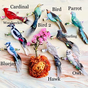 May include: A collection of bird-shaped hair clips featuring a cardinal, woodpecker, bluejay, starling, owl, hawk, parrot, and two other birds. Each clip has a realistic bird figure with feathers and iridescent accents, labeled with its name.