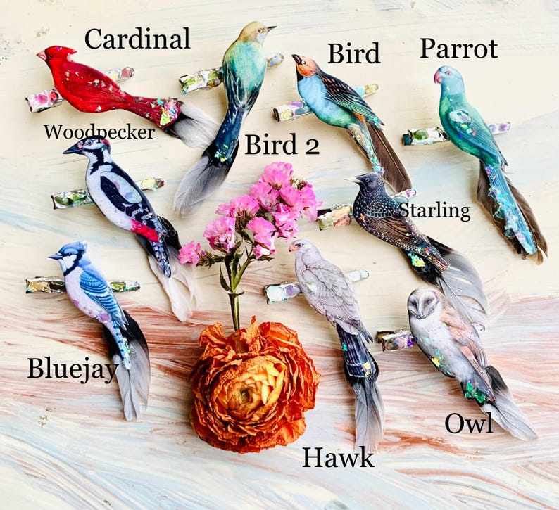 May include: A collection of bird-shaped hair clips featuring a cardinal, woodpecker, bluejay, starling, owl, hawk, parrot, and two other birds. Each clip has a realistic bird figure with feathers and iridescent accents, labeled with its name.