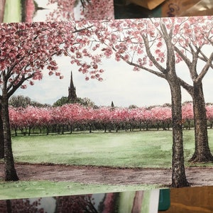 5 buoni regalo - Edinburgh's Meadow's Blossom, per sostenere Kindred Scotland.