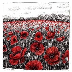 Può includere: Un disegno a inchiostro nero e bianco di un campo di papaveri rossi. Il disegno è realizzato in uno stile realistico e mostra i papaveri in piena fioritura. Lo sfondo del disegno è un semplice paesaggio con alcune nuvole nel cielo.