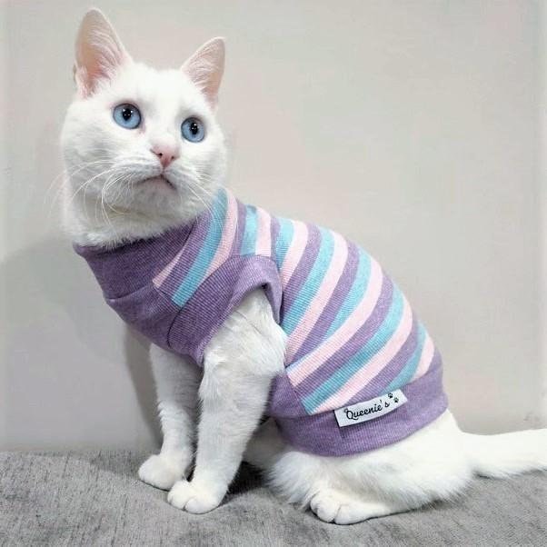 Cat jumpers for ladies sale