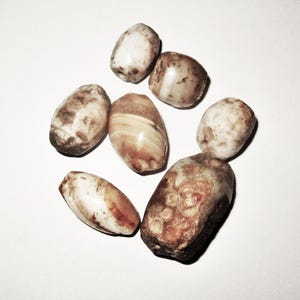 Puede incluir: Una colección de siete piedras ovaladas pulidas en tonos marrón, beige y crema. Las piedras varían en tamaño y tienen patrones y texturas únicos, lo que sugiere que son piedras preciosas o cuentas naturales. Están dispuestas sobre una superficie blanca.