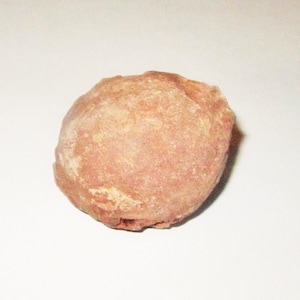 Dinosaur Fossil Egg from Late Cretaceous Found in China
