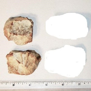 Choice of Mesolithic / Neolithic Flint Scraper France "Paris Basin" 10,000 to 3,000 BC