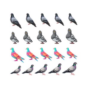 Pigeon Nail Art Birds Nail Water Decals