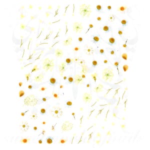 Adesivi per nail art con margherite e fiori primaverili ed estivi