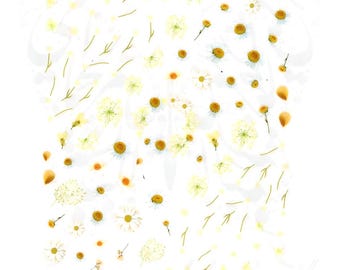 Daisy Nail Art Spring Summer Flower Stickers