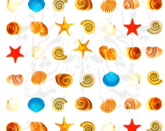 Summer Nail Art Shells Water Decals