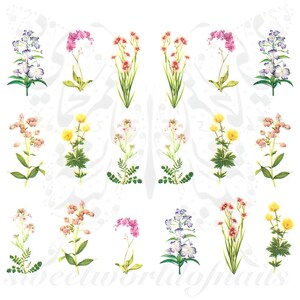 Spring Flower Nail Art Water Decals