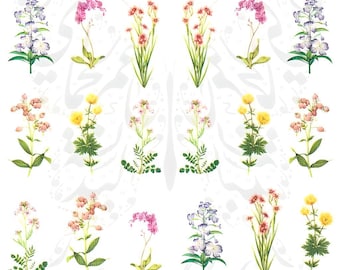 Frühlings Blumen Nail Art Wasser Decals