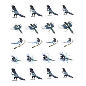 Bird Nail Art Magpie Water Decals