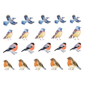 Bird Nail Art Birds Nail Water Decals