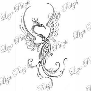 Tribal phoenix dragon black and gray tattoo design