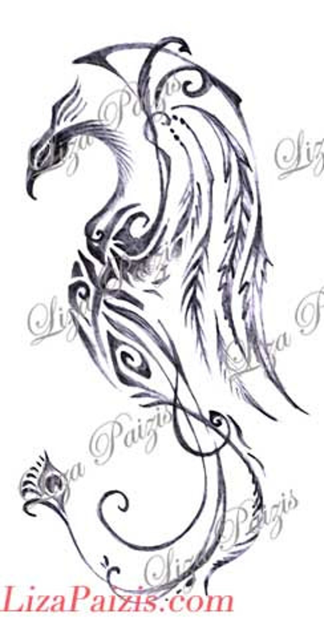 Dragon phoenix tattoo Stock Photos Royalty Free Dragon phoenix tattoo  Images  Depositphotos