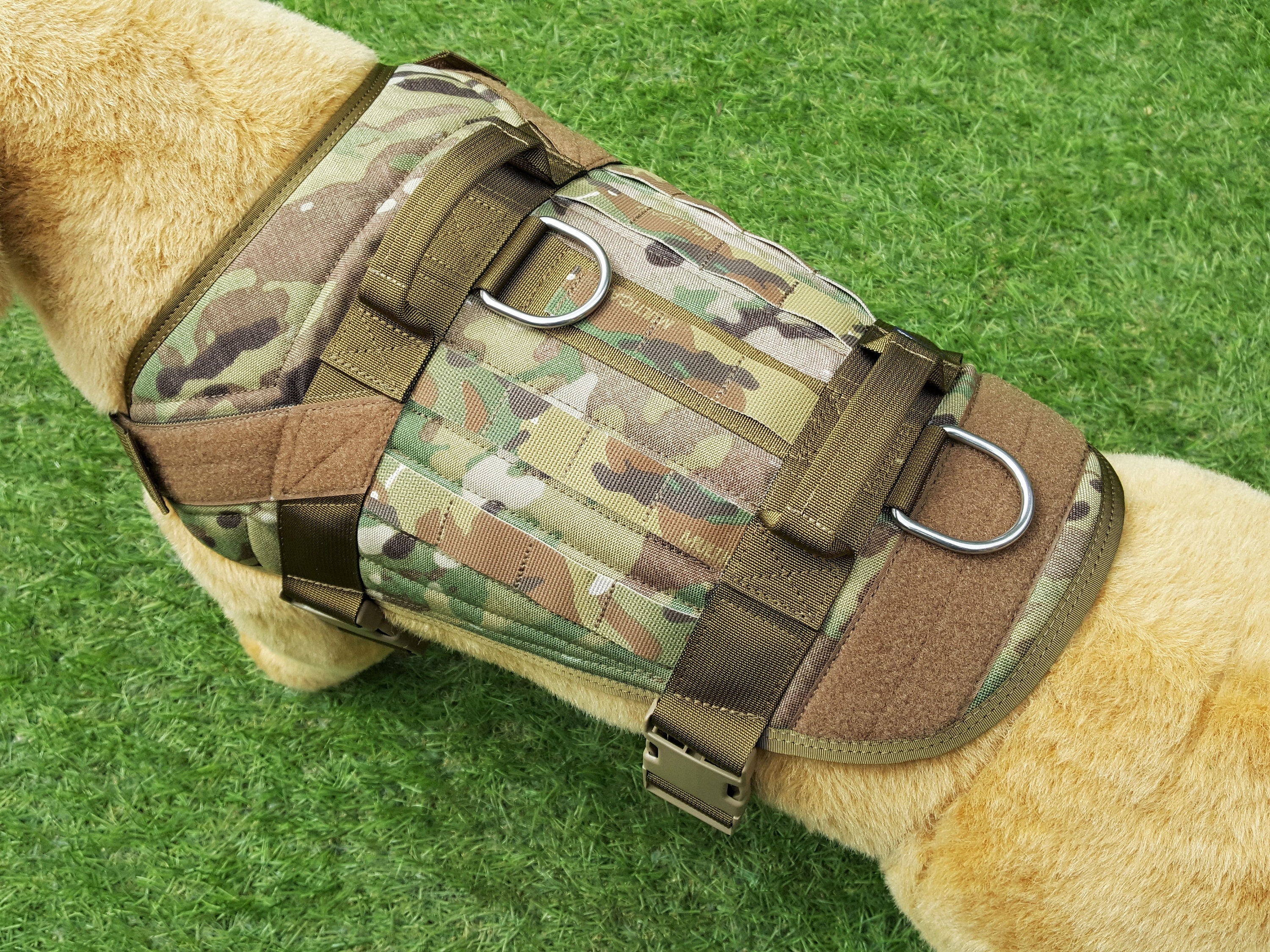 cargo dog harness